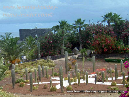 Cactus garden Tenerife destroyed, but preserved by landscaping ...