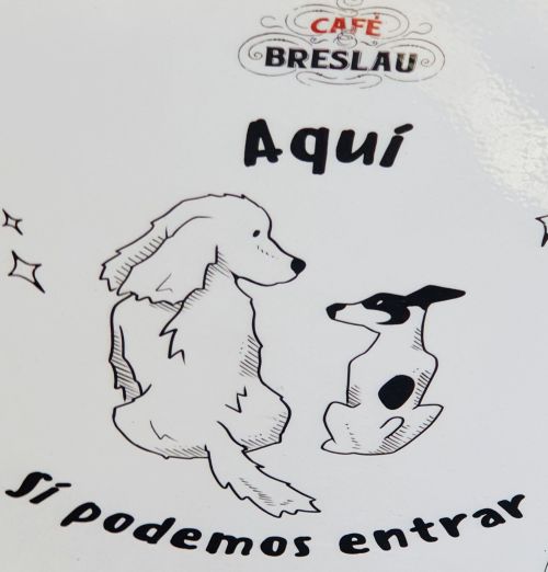 Dogos allowed display poster Dogos allowed display poster