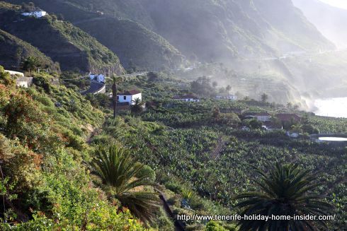 Banana farm of Los Realejos that adjoins more than one Rambla.