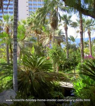 Bird paradise of man-made park of Hotel Maritim