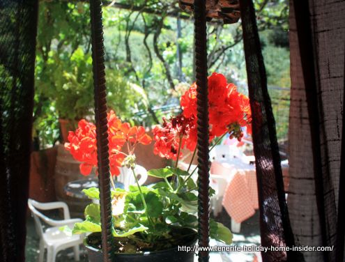 Bodega el Papa Frita la Cueva  with Guachinche prices at El Horno in Los Realejos.