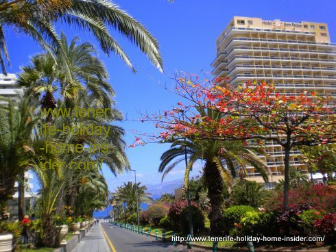 Calle de Aguilar y Quesada with Hotel San Felipe at the background and the Martianez surf beach by its door steps.