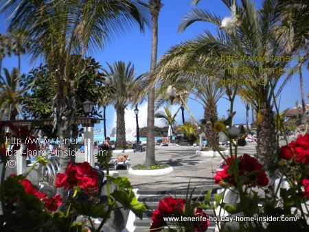 Climate in Tenerife Spain