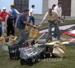 Artists hurry to finish flower carpets
