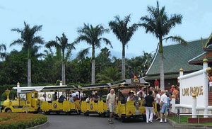 Entertainment in Tenerife by a mini train