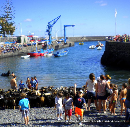 Fiesta San Juan with little excited kids having beach fun