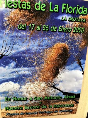 Fiestas de la Florida La Orotava poster for the period of 2020 January 17 to 26
