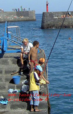 Fishing vacations Christmas Tenerife Puerto de la Cruz