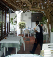 Garden terrace within the garden patio Restaurant La Papaya