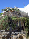 Hanging garden in Calle Los Barros of Realejo near gorge Barranco Palo Blanco.