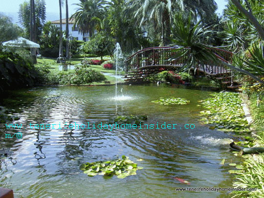 Hotel pool with koi carps and more