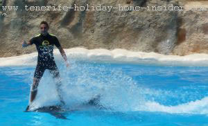 Loro Park show with man on top of a dophin