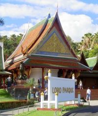 Entertainment Tenerife by Loro Park