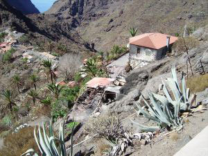 Mazca or sorry correction  Masca