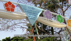 may celebrations Santa Cruz banner with  streamers