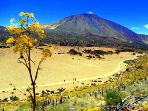 Mount Teide weather in Spring
