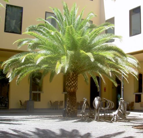 Museum atrium with Tenerife modern art.