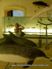 Museum lighting with mirror image.