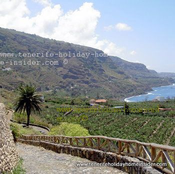 plantation-road-san-pedro