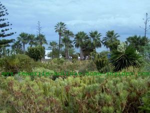 Playa Jardin Park Puerto de la Cruz Tenerife