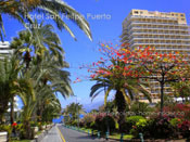 Puerto Cruz hotel San Felipe