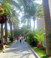 Avenue called Rambla Puerto Cruz Tenerife