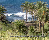 Realejos Castro beach