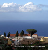 Drago San Franciso of Los Realejos Tenerife by Barranco Gordinez.