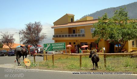 Restaurante Aguamansa for freshest trout