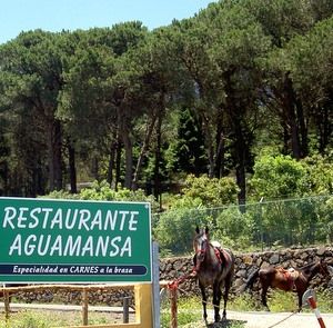Restaurante Aguamansa on the way from La  Orotava to Teide.