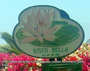 Risco Bello Waterpark at Toaro Puero de la Cruz