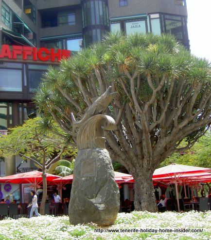 Santa Cruz de Tenerife capital of Canary Islands Spain.