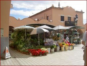 Santa Cruz Mercado la Recova Tenerife African Market