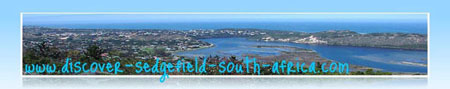Sedgefield South Africa by admiring whales