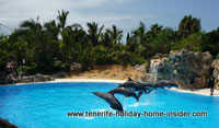 Show pool stunt pool Loro Park Puerto Cruz Tenerife Spain