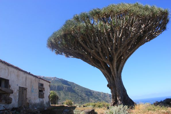 Siete Fuentes Draco with the ancient farm of former Marquesado in ruins