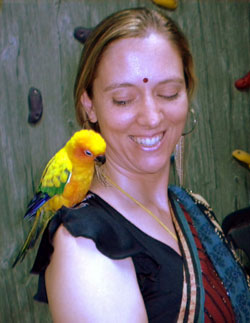 A small loro Sun parakeet on a ladys shoulder