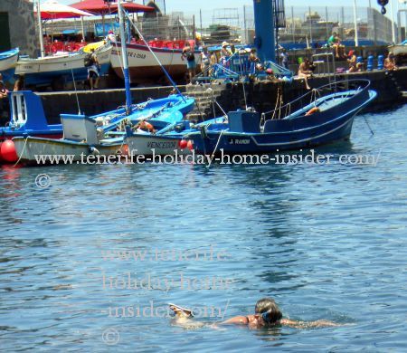 Snorkeling Puerto de la Cruz port