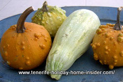 Squash vegetables as food and or decoration