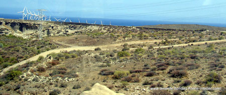 Tabaiba land by Arico the South and East of the biggest Canary Island.