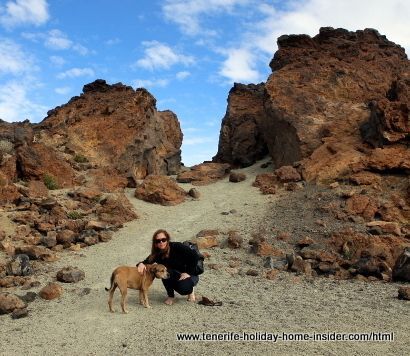 Tenerife articles an example of an outing