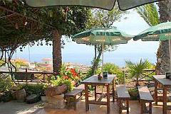 Tenerife country-in Bodega