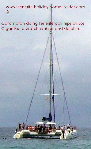 Tenerife days trips with Catamaran by Los Gigantes