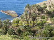 Tenerife beaches Realejo