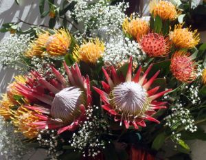 Tenerife Proteas Leucospermum Pincussion species as well as the King Protea in a flower arrangement for the famous Fiesta de la Cruz of Los Realejos