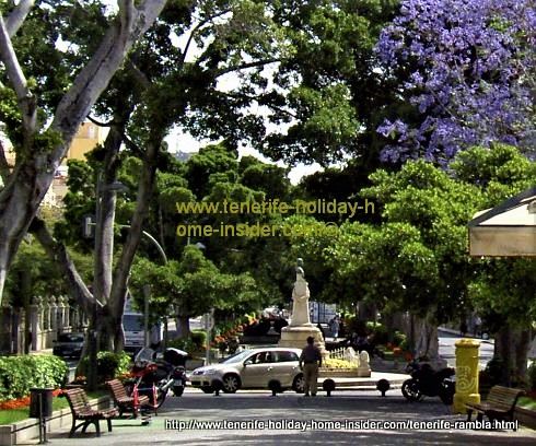 Tenerife Rambla Santa Cruz Tenerife with its exciting options for going out and where Jacarandas in bloom create an entire canopy in some years