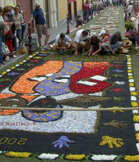 Uniting nations motive La Orotava street carpet